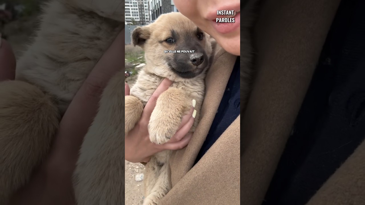 Ce chiot commence une nouvelle vie grâce à la mobilisation de cette femme et de ce chien