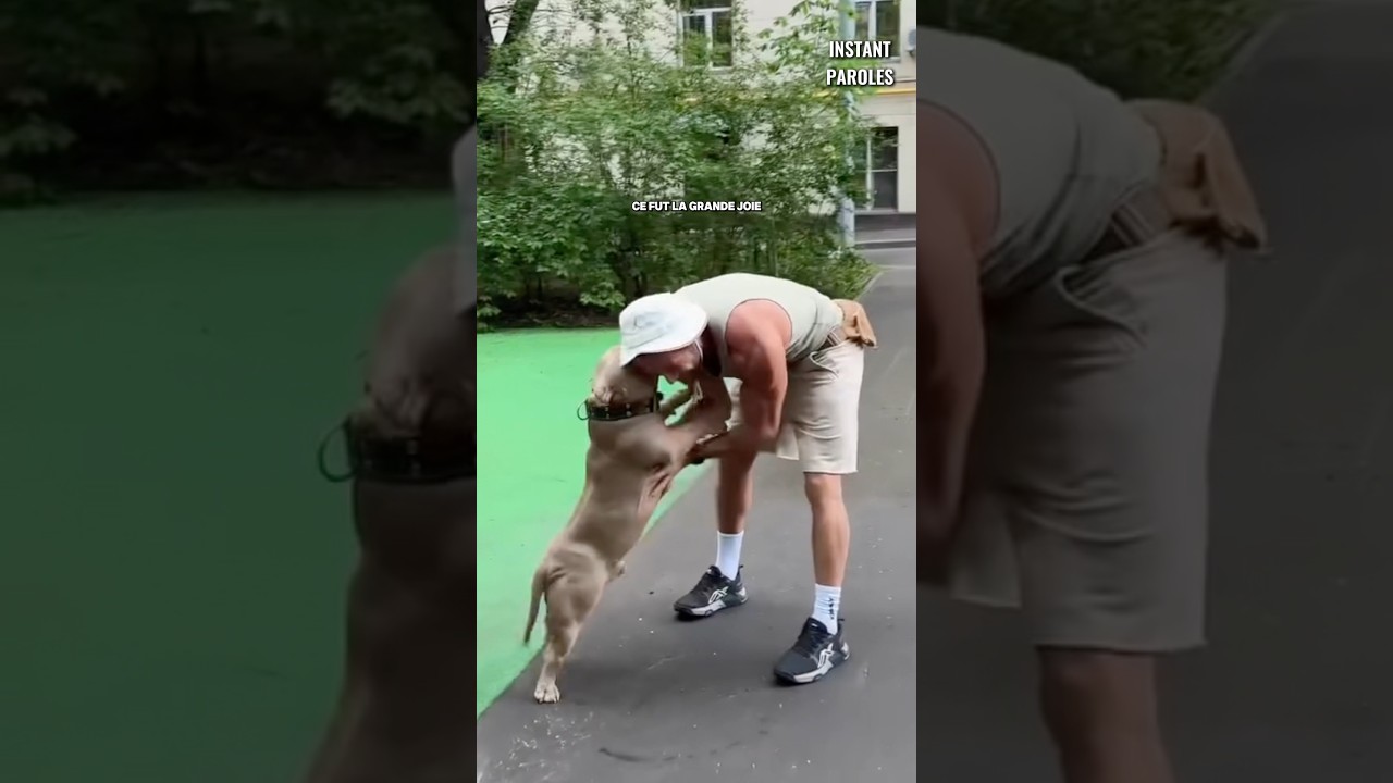 Ce chien reconnaît son propriétaire après deux semaines de séparation