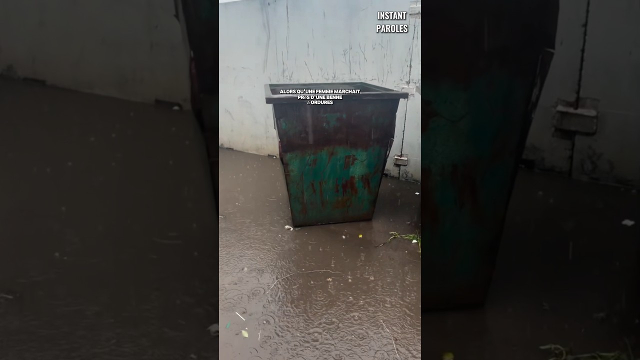 Cette femme se mobilise pour ces chatons abandonnés et leur offre une nouvelle vie
