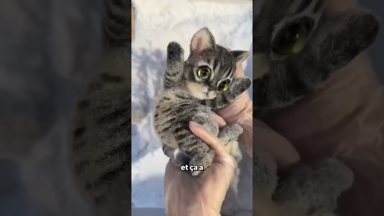 Le Jouet Pour Chats Le Plus Addictif De Chine 🤯